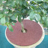 Recycled Rubber Tree Ring